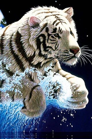Tigre Blanc Hd