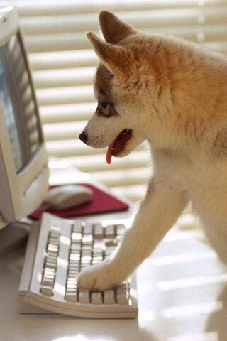 Tech-Savvy Pup: The Can..
