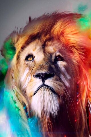 Lion