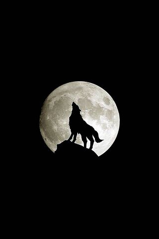 Lunar Howl: The Spirit ..