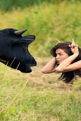 Whimsical Encounters in..