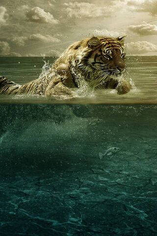 Tigre de agua
