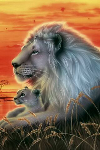 Roar of Connection: A Lion's Love