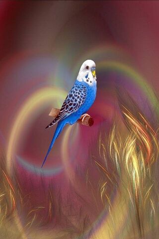 Whimsical Flight: A Col..