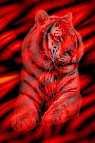 Red Tiger Wallpaper - Download to your mobile from PHONEKY