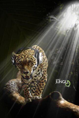 Jaguar Beats: Nature's ..