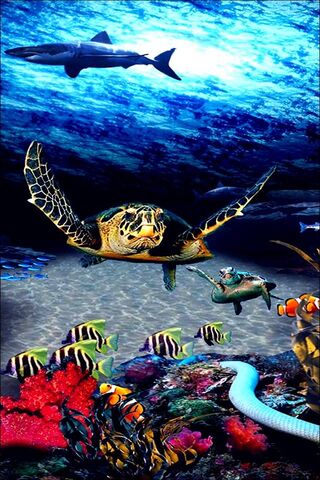 Beneath the Waves: A Co..