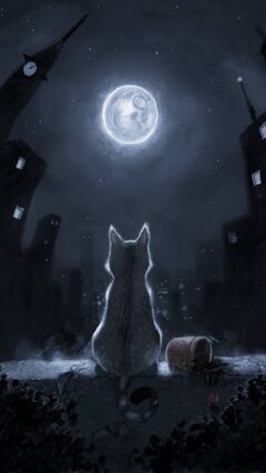 Night Cat Wallpaper - Download to your mobile from PHONEKY