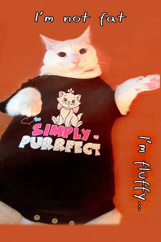 Fluffy Feline Fashion: The Purrfect Onesie! 🐾