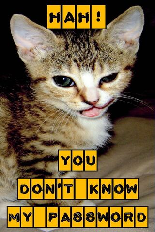 The Password Protector 🐾