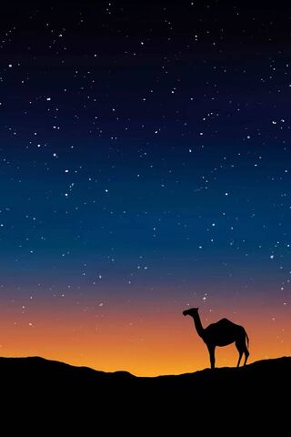 Drak Onta: A Celestial Camel's Journey 🌌🐪