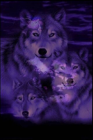 Mystical Wolves Under t..