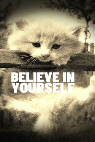 Pawsitive Vibes Only! 🐾✨