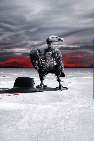 Vulture: The Guardian of the Wasteland 🦅🌌