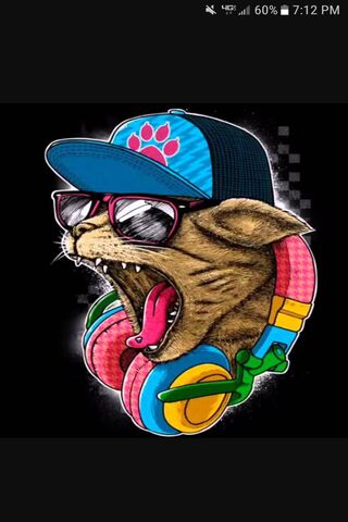 Rag Cat