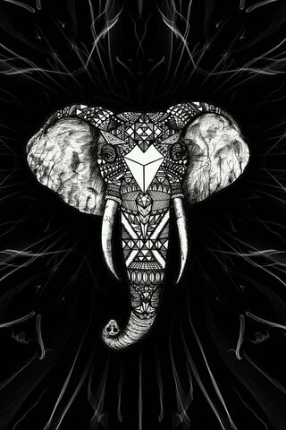 Majestic Patterns: The ..