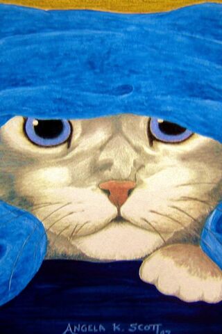 Feline Mystery: The Hidden Whiskers