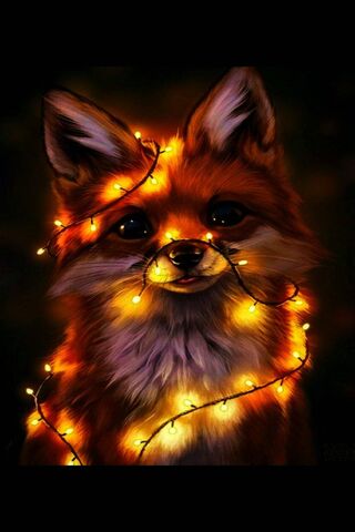 Fox Light Wallpaper - Download to your mobile from PHONEKY