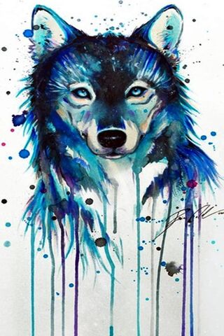 Wolf Vive Color
