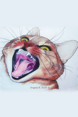 Feline Fury: The Art of the Meow