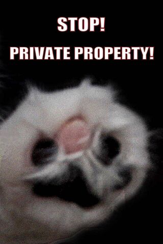 Stop Private Paw