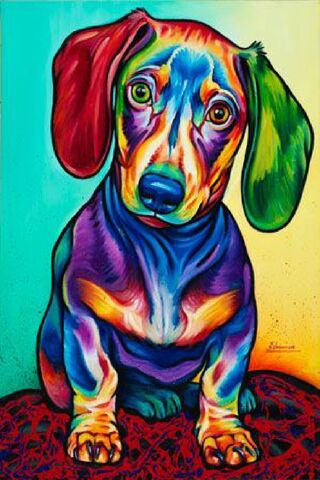 Colorful Canine Delight 🌈🐶