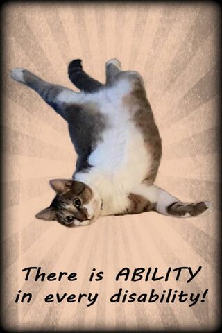 Embracing Abilities: The Inspiring Ability Kitty Cat 🐾✨