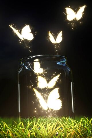 Whispers of Enchantment