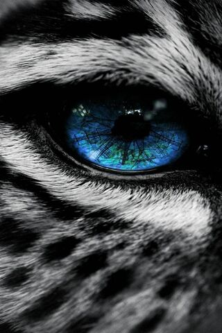 Mystical Gaze: The Enchantment of Mavi Göz 🌌👁️