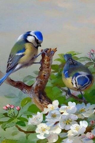 Harmony in Nature: A Da..