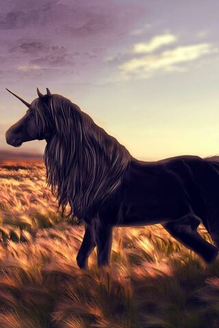 Mystical Majesty: The O..