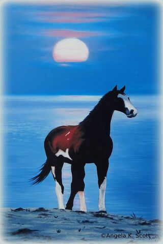 Serene Sunset: The Majestic Sea Horse