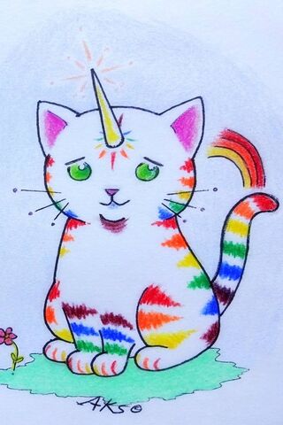 Rainbow Unicorn Cat