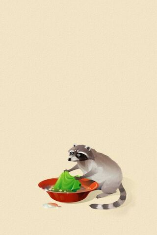 Raccoon’s Laundry Day Adventure! 🦝🧺