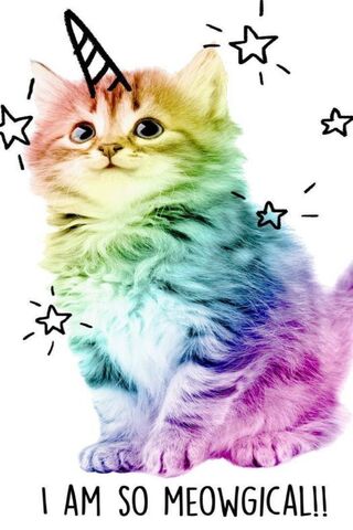 Whiskers of Wonder: The Meowgical Kitty! 🦄✨
