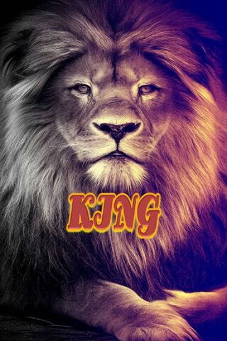 король Лев