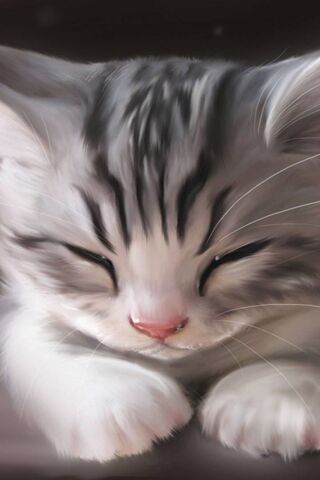 Dreamy Whiskers: The Cozy Cat Nap 🐾💤