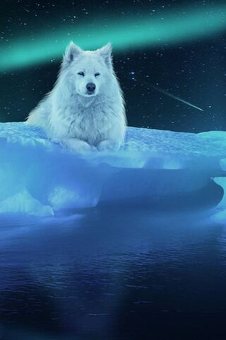 Luminous Guardian of th..