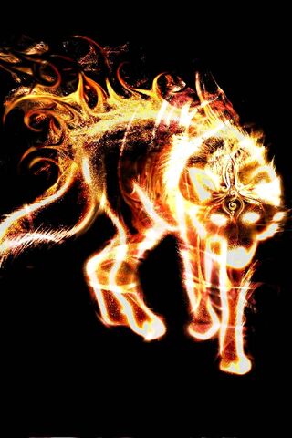 PHONEKY - Fire Wolf HD Wallpapers