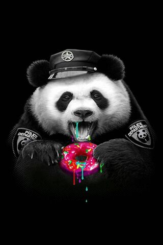 Panda