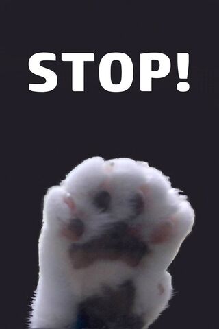 Stop Cat Paw