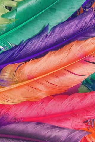 Vibrant Whispers of Nature 🌈✨