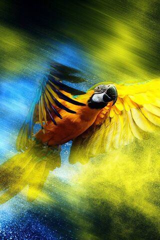Burung nuri Brazil
