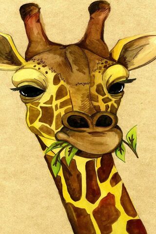 Girrafe Wallpaper - Download to your mobile from PHONEKY