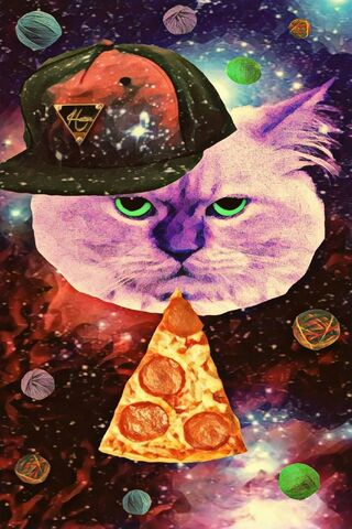 Pizza Cat In Space4