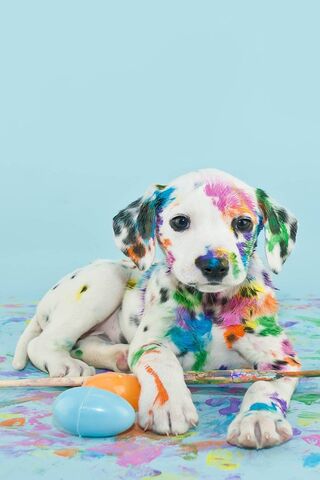 Wallpapers Iphone