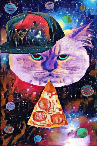 Pizza Cat In Space3