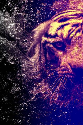 Majestic Tiger: The Kin..