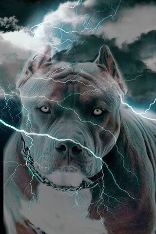 Tyson: The Storm Within..