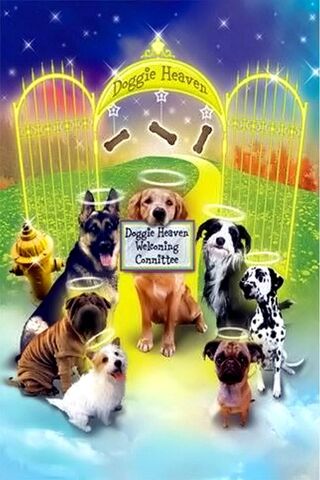 Paws and Paradise: Welcome to Doggie Heaven! 🐾🌈